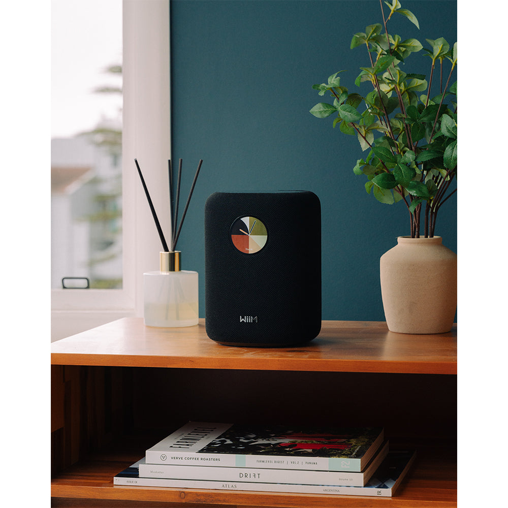 WiiM SOUND Wireless Multiroom Smart Speaker PAIR with Display - Black