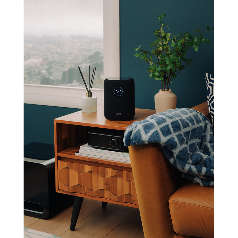 WiiM SOUND Wireless Multiroom Smart Speaker with Display - Black
