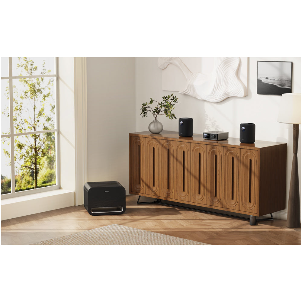 WiiM SOUND Wireless Multiroom Smart Speaker with Display - Black