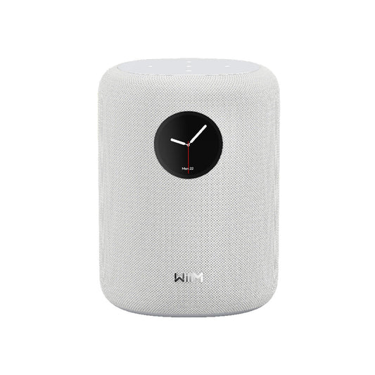 WiiM SOUND Wireless Multiroom Smart Speaker with Display -  White